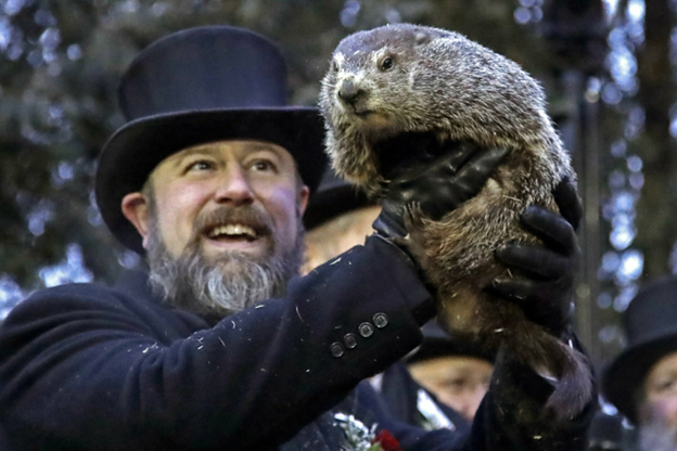 Groundhog Punxatawny Phil